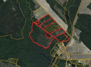 McNeill Lake Rd, Lumber Bridge, NC - Vue aérienne vue de carte - Image1