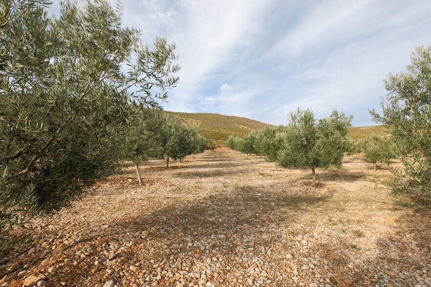 Cijancos, 1-1, Villamena, Granada à vendre - Photo de l’immeuble – Image 3 sur 29