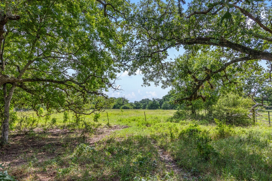 11480 N Dowling Rd, College Station, TX à vendre - Autre – Image 2 sur 22