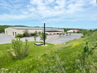 Plus de détails pour 76 Odell Rd, Muncy, PA - Industriel/Logistique à vendre