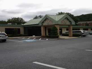 Plus de détails pour 120 Prospect St, Reading, PA - Bureau, Bureau/Médical à louer