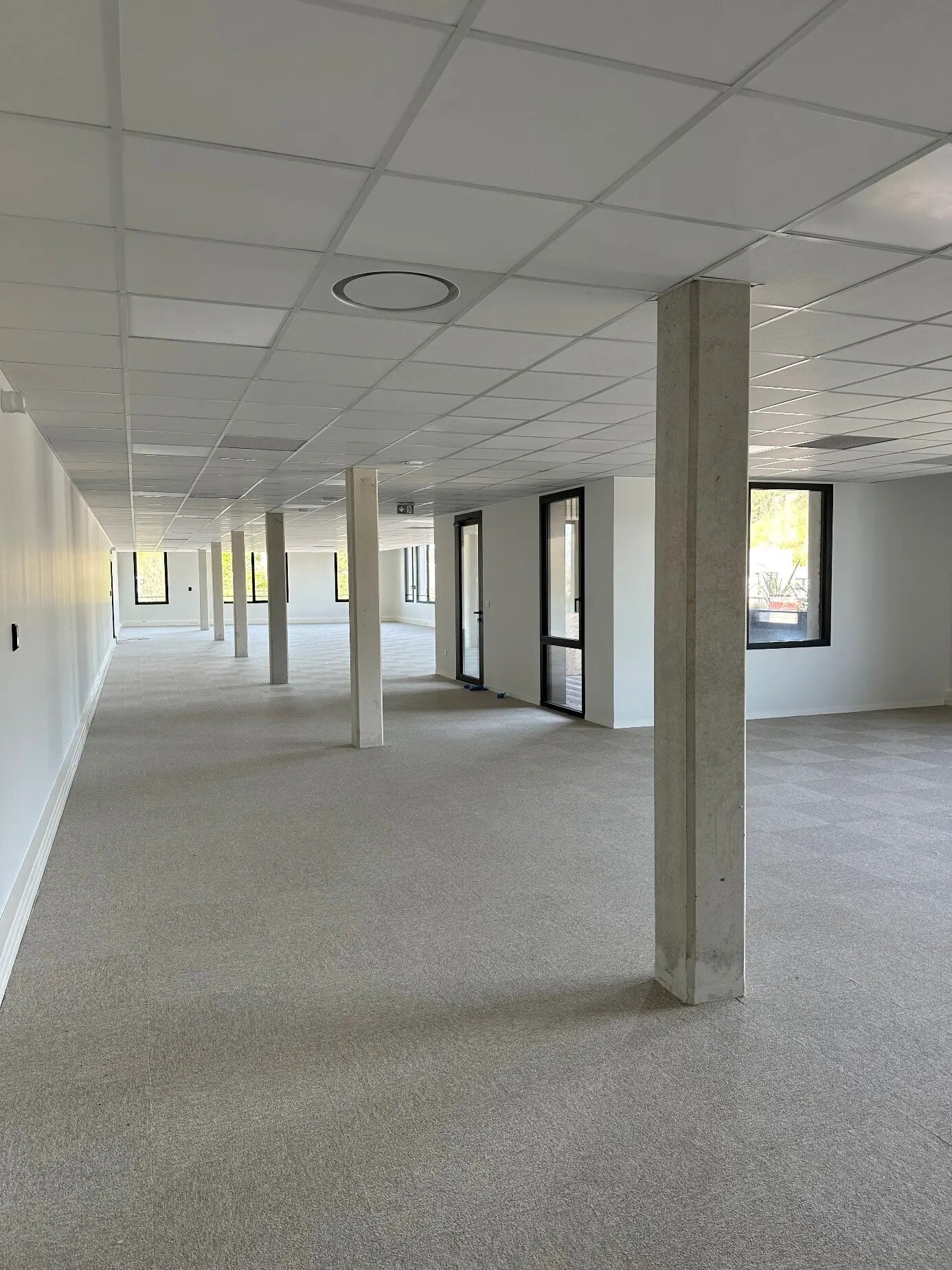 1 Rue Maryse Bastié, Anglet à louer Photo principale– Image 1 sur 6
