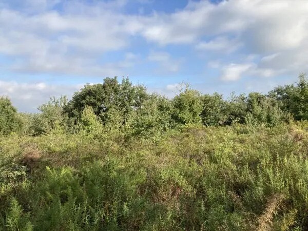 Plus de détails pour Terrain à vendre