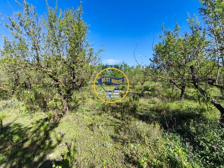 Terrain dans Albaida, Valencia à vendre - Photo de l’immeuble – Image 2 sur 10