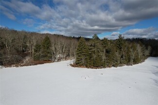 Plus de détails pour 118 Hilltop Rd, Monticello, NY - Terrain à vendre