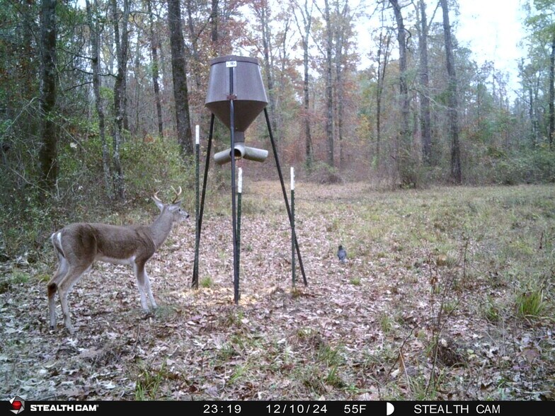 TBD CR 4117, Atlanta, TX à vendre - Photo de l’immeuble – Image 3 sur 22