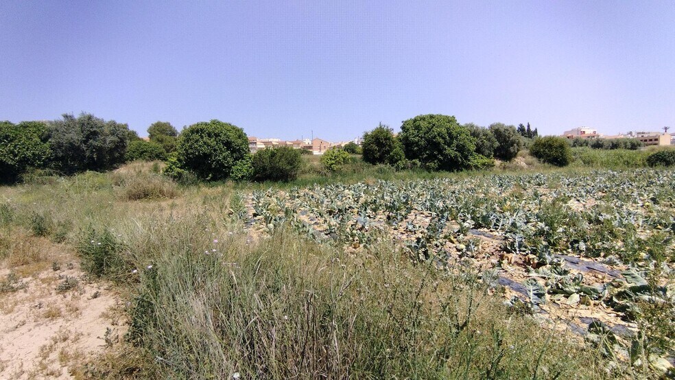 Terrain dans Calasparra, Murcia à vendre - Plan de site – Image 3 sur 7