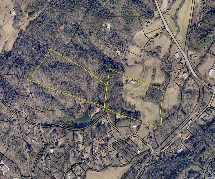 141 Doc Roof Rd, Mineral Bluff, GA à vendre - Photo principale – Image 1 sur 12