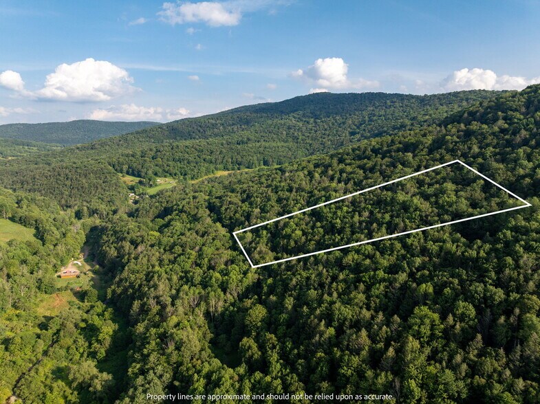 Broadchannel Road, Andes, NY à vendre - Photo de l’immeuble – Image 3 sur 26