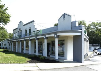 Plus de détails pour 314-318 Willow Dr, Little Silver, NJ - Bureau, Local commercial à louer