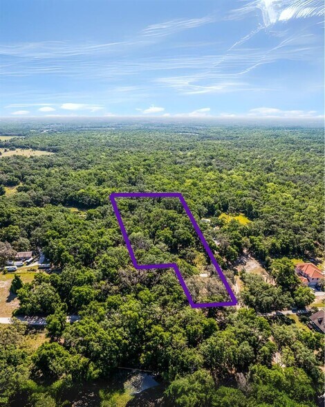 3633 Panther Path Rd, Lutz, FL à vendre - Photo de l’immeuble – Image 1 sur 23