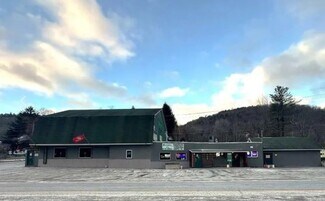 Plus de détails pour 117 Main St, Hallstead, PA - Local commercial à vendre
