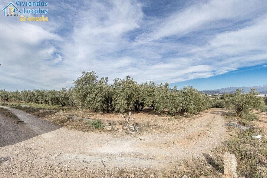Pago de, Albolote, Granada à vendre - Photo de l’immeuble – Image 2 sur 14