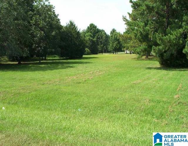 4715 Speedway Blvd, Lincoln, AL à vendre - Photo de l’immeuble – Image 3 sur 5