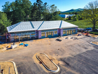 Plus de détails pour 1874 Brevard Rd, Arden, NC - Local commercial à louer