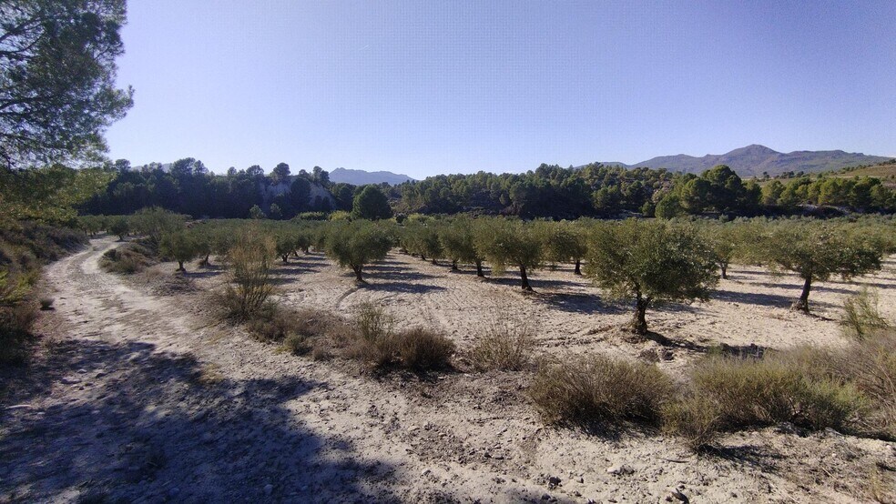Terrain dans Moratalla, Murcia à vendre - Photo de l’immeuble – Image 2 sur 30