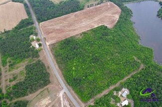 Plus de détails pour Chester Alamo Hwy, Chester, GA - Terrain à vendre