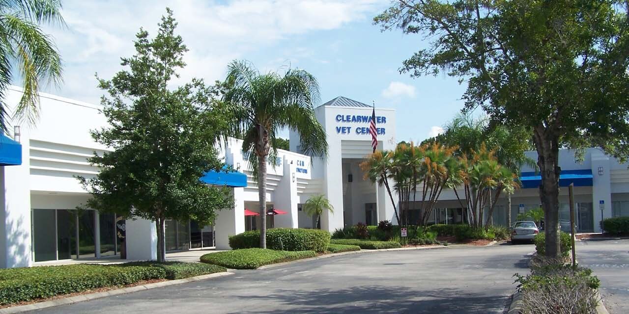29241-29277 US Highway 19 N, Clearwater, FL à louer Photo principale– Image 1 sur 11