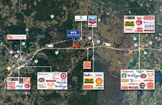 Plus de détails pour TBD Vick Spring Rd, New Waverly, TX - Terrain à vendre