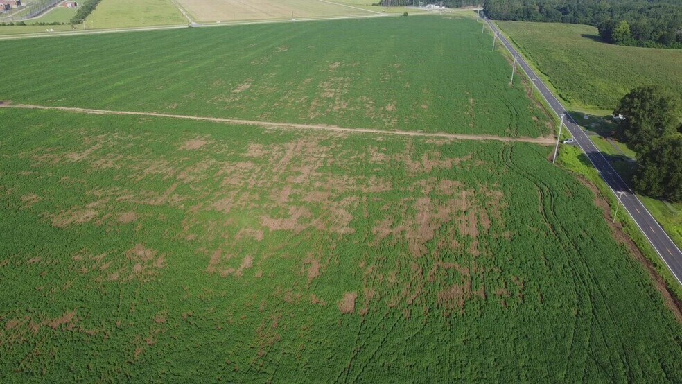 Hwy 9, Bennettsville, SC à vendre - Vidéo sur l’annonce professionnelle – Image 2 sur 15