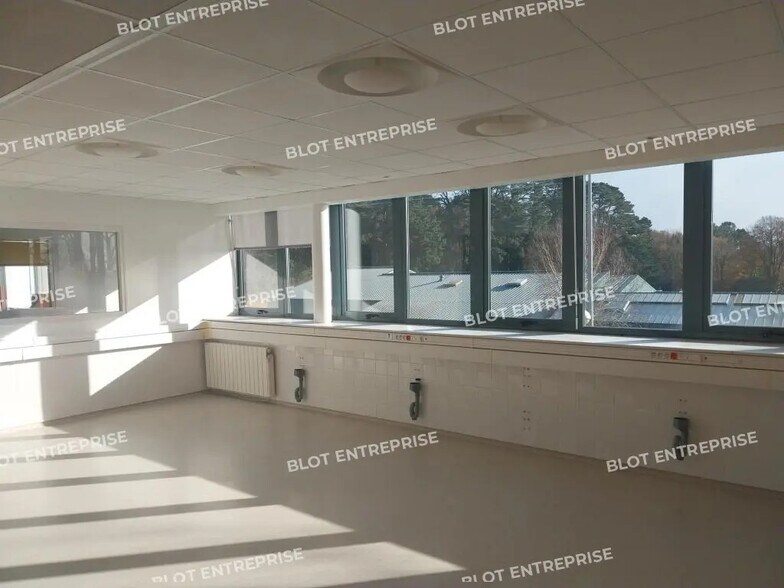 Bureau dans Douarnenez à louer - Photo intérieure – Image 1 sur 8