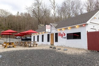 Plus de détails pour 264 Hillsdale Rd, Egremont, MA - Local commercial à vendre