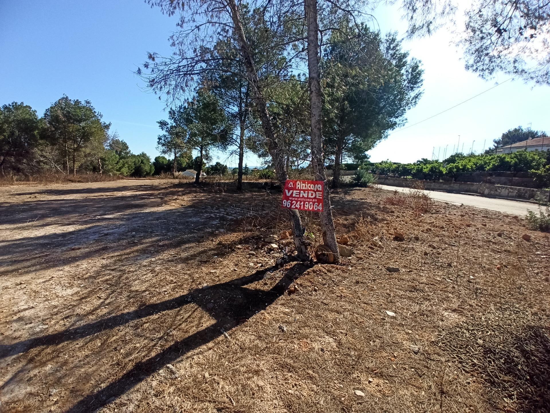 Terrain dans Alberic, Valencia à vendre Photo principale– Image 1 sur 7