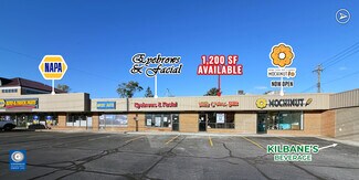 Plus de détails pour 14692-14698 Pearl Rd, Strongsville, OH - Local commercial à louer