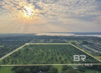 Plus de détails pour 33644 US Hwy 98, Lillian, AL - Terrain à vendre