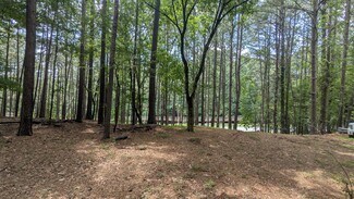 Plus de détails pour 3779 Lawrenceville-Suwanee Rd, Suwanee, GA - Terrain à vendre