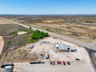 Plus de détails pour 8794 HWY 83, Briscoe, TX - Local commercial à vendre