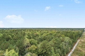 Plus de détails pour GA Hwy 85 S, Senoia, GA - Terrain à vendre
