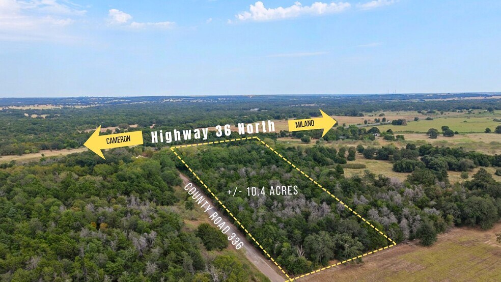 2777 N US Highway 36, Milano, TX à vendre - Photo principale – Image 1 sur 10