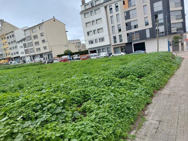 Rúa Celso Emilio Ferreiro, 26, Burela, Lugo à vendre - Photo de l’immeuble – Image 2 sur 18