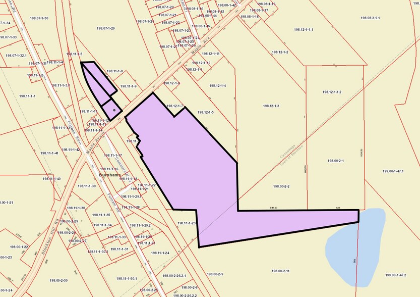 320 Maple Ave, Cassadaga, NY à vendre - Photo de l’immeuble – Image 2 sur 49