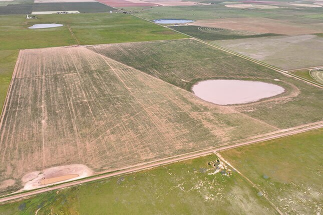 807 County Road 515, Dimmitt, TX à vendre - Photo de l’immeuble – Image 3 sur 5