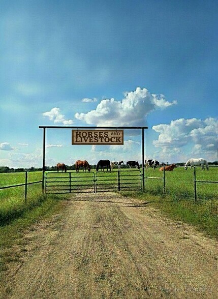 2838 County 201 rd, Cameron, TX à vendre - Photo principale – Image 1 sur 1