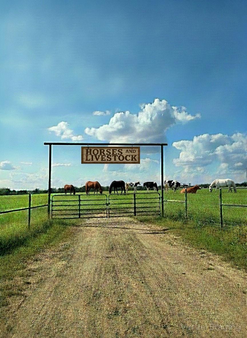 2838 County 201 rd, Cameron, TX à vendre Photo principale– Image 1 sur 2