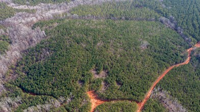 0 Carlisle Gap Rd, Woodland, GA - VUE AÉRIENNE  vue de carte - Image1