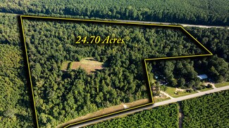 Plus de détails pour 1901 Grey Land rd, Greensboro, GA - Terrain à vendre