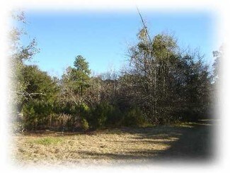 Plus de détails pour 2525 Highway 17A, Summerville, SC - Terrain à vendre