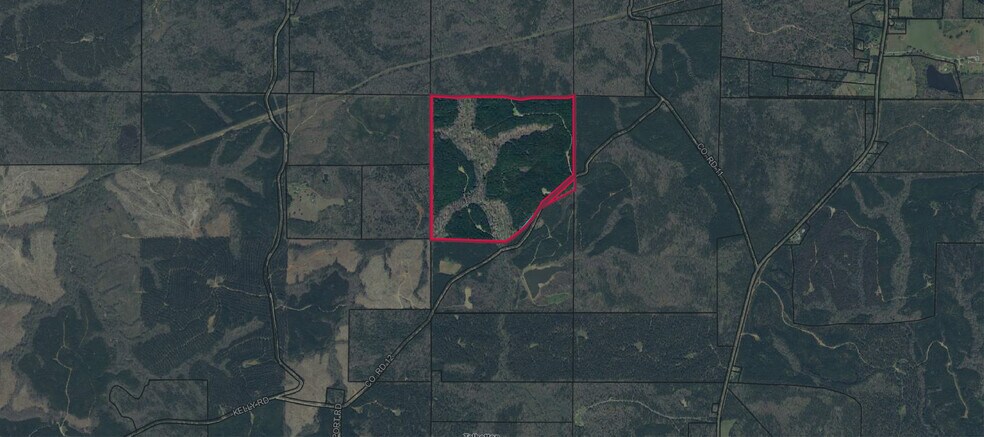 Talbot County Tract 32008A, Talbotton, GA à vendre - Photo principale – Image 1 sur 2