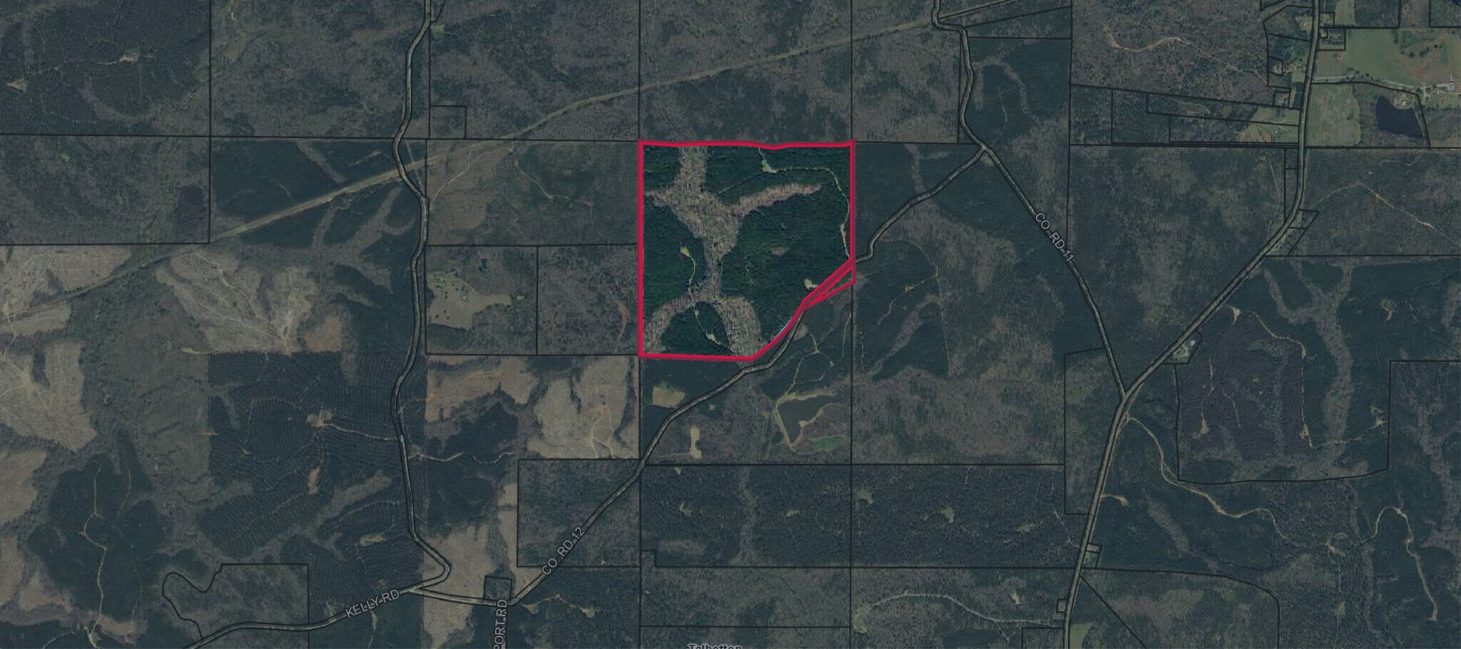 Talbot County Tract 32008A, Talbotton, GA à vendre Photo principale– Image 1 sur 3