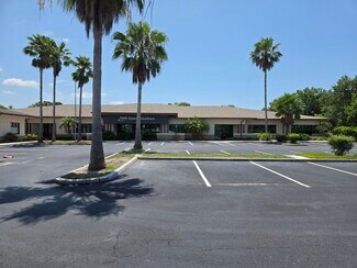 Plus de détails pour 255 Pine Ave N, Oldsmar, FL - Bureau à vendre