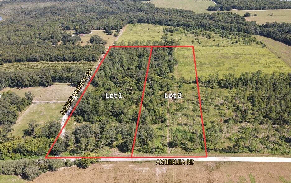 Amberlea Rd & Spring Branch Rd., Dade City, FL à vendre - Aérien – Image 3 sur 10