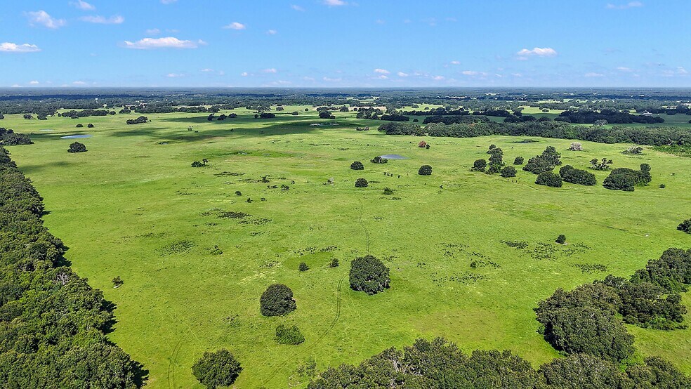 8919 State Road 471, Webster, FL à vendre - Photo de l’immeuble – Image 2 sur 17