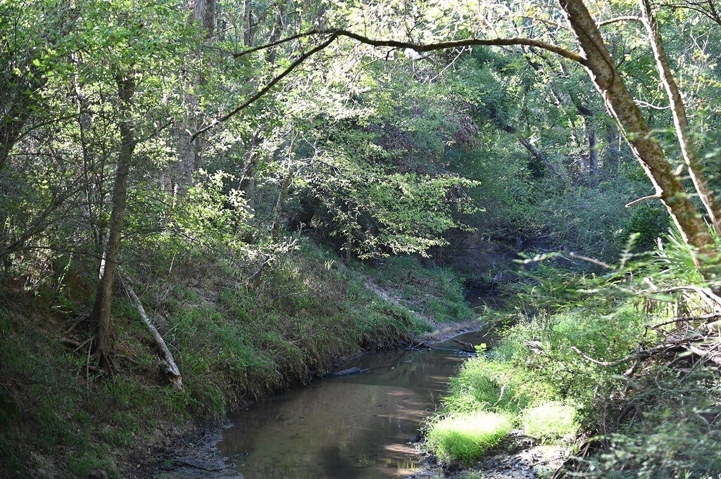 View Photo