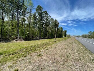 Plus de détails pour US Highway 231, Montgomery, AL - Terrain à vendre