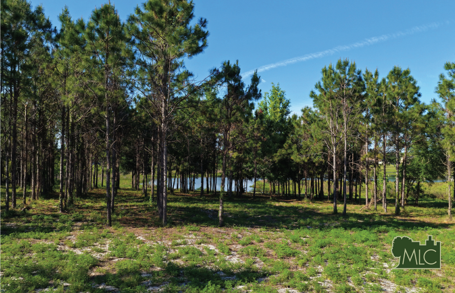 9717 Morton Jones rd, Gotha, FL à vendre - Autre – Image 3 sur 4