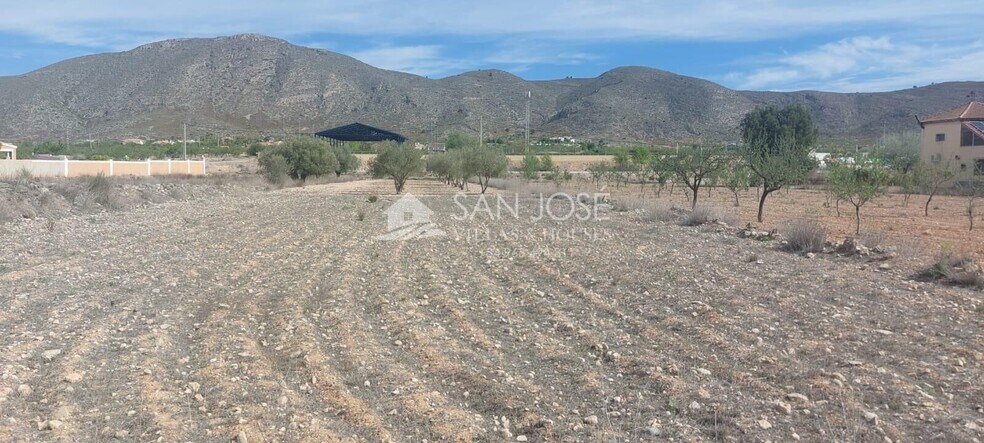 Terrain dans Hondón de los Frailes, Alicante à vendre - Plan de site – Image 2 sur 2